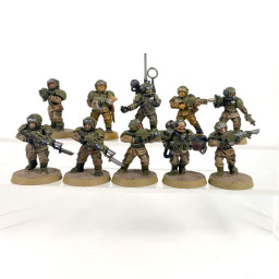 Cadian shock troups