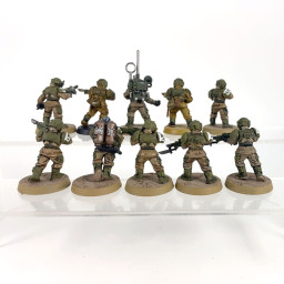 Cadian shock troups