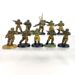 Cadian shock troups