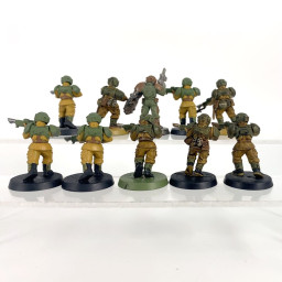 Cadian shock troups