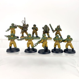 Cadian shock troups