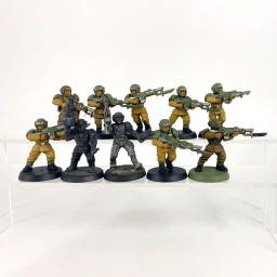 Cadian shock troups