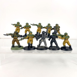Cadian shock troups
