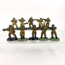 Cadian shock troups