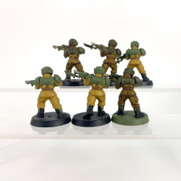 Cadian shock troups