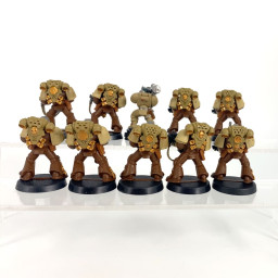 firstborn tactical squad