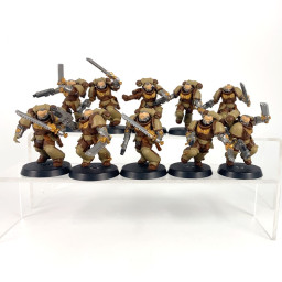 Assault intercessors