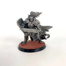 Knight-questor