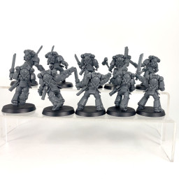 Assault intercessors