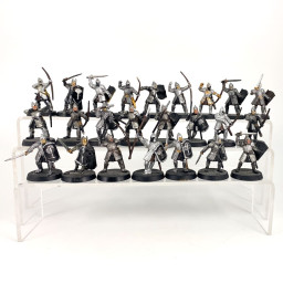 Guerriers de Minas Tirith