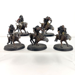 Warg riders