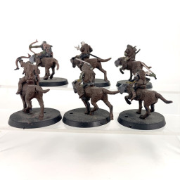Warg riders