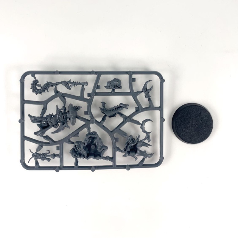 Fungoid Cave-Shaman Snazzgar Stinkmullett