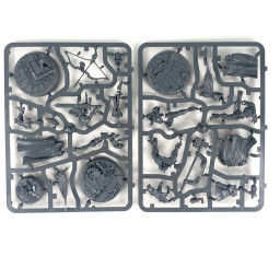 Xandire's truthseekers