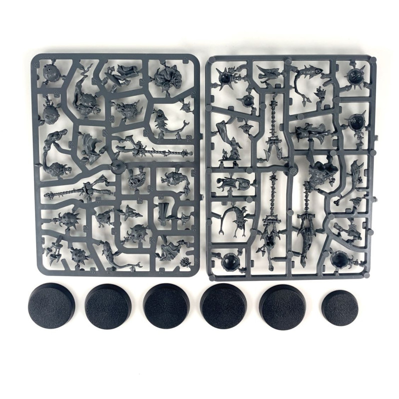 Fanatiques Sporuleurs