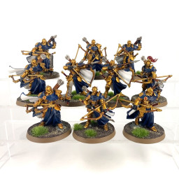 Vigilors