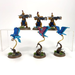 Vanguard Raptors