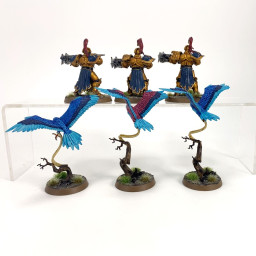 Vanguard Raptors