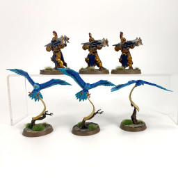 Vanguard-Raptors avec...