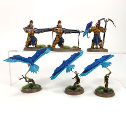 Vanguard Raptors