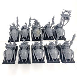 grot spider riders