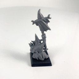  Night Goblins Gloomspite Shaman