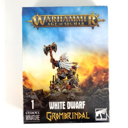 Grombrindal figurine anniversaire 40 ans boîte scellée