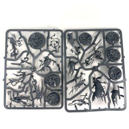 Thorns of the Briar Queen