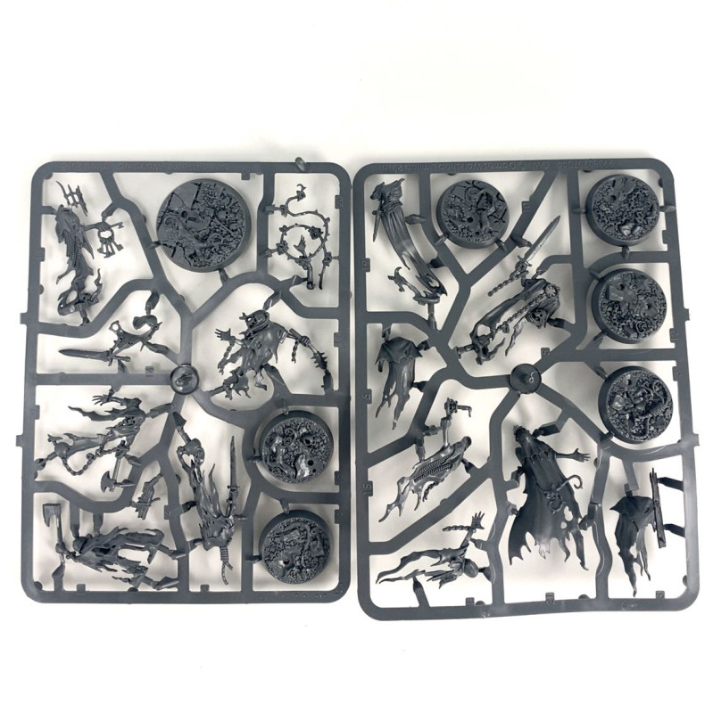 Thorns of the Briar Queen