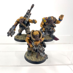 Ogryns