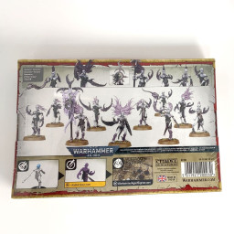 Daemonettes of Slaanesh - Neuf