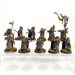 Freeguild Fusiliers