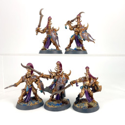 Myrmidesh Painbringer