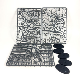 Rabatteurs de slaanesh