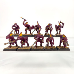 Chameleon Skink conversion