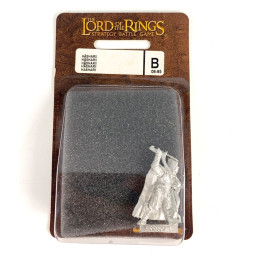 Hasharii blister - New