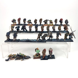 Guerriers des clans incomplet