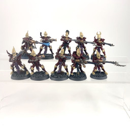Kabalite warriors