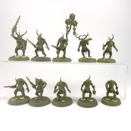 AOS Starter Paint Kit