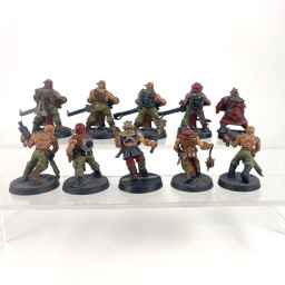 Chaos Cultists