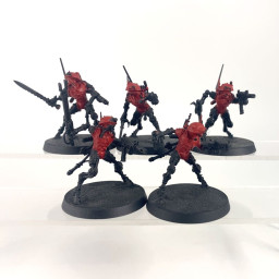 Sicarian Infiltrators