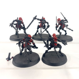 Sicarian Ruststalkers