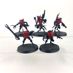 Sicarian Infiltrators