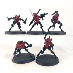 Sicarian Infiltrators
