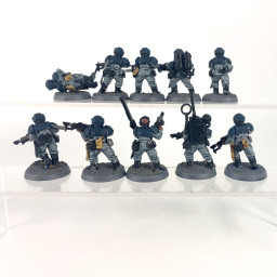 Cadian shock troups