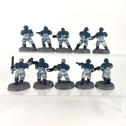 Cadian shock troups