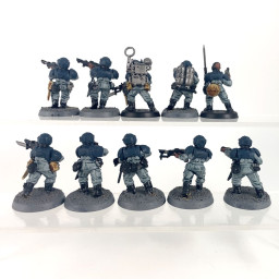 Cadian shock troups