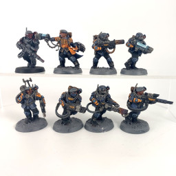 Militarum Tempestus Scions
