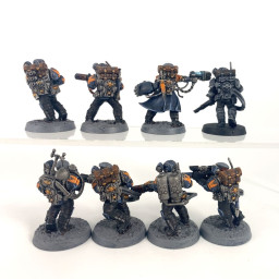 Militarum Tempestus Scions