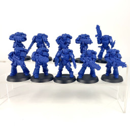 Primaris intercessors